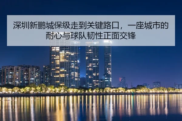 shen-zhen-xin-peng-cheng-bao-ji-zou-dao-guan-jian-lu-kou-yi-zuo-cheng-shi-de-nai-xin-yu-qiu-dui-ren-xing-zheng-mian-2-548.jpg