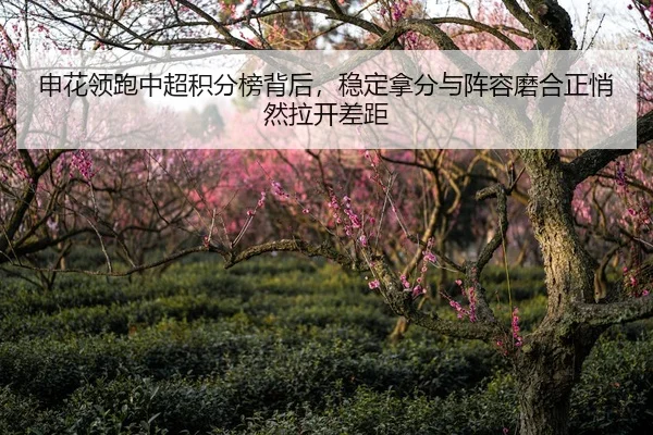 shen-hua-ling-pao-zhong-chao-ji-fen-bang-bei-hou-wen-ding-na-fen-yu-zhen-rong-mo-he-zheng-qiao-ran-la-kai-cha-ju-2-304.jpg